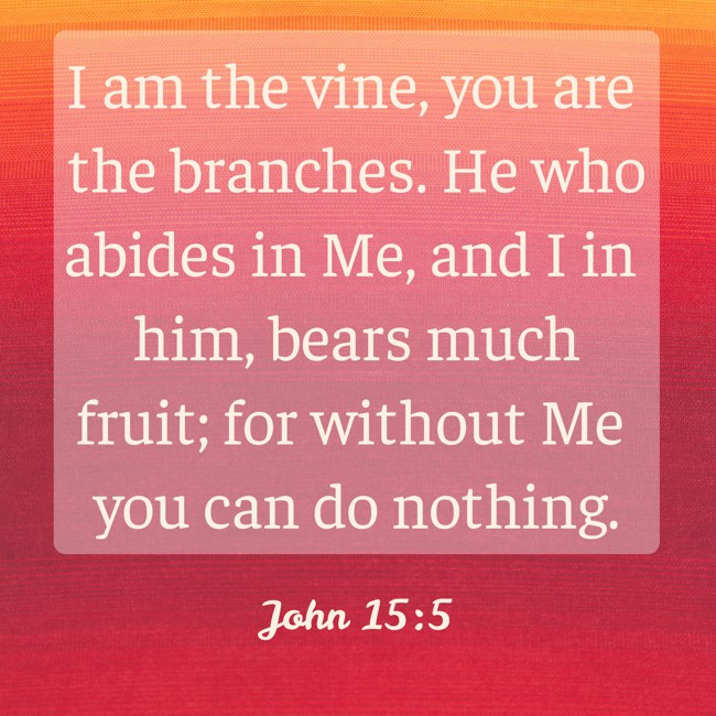 I am the vine, you are the branches. He who abides in Me, and I in him, bears much fruit; for without Me you can do nothing. - John 15:5