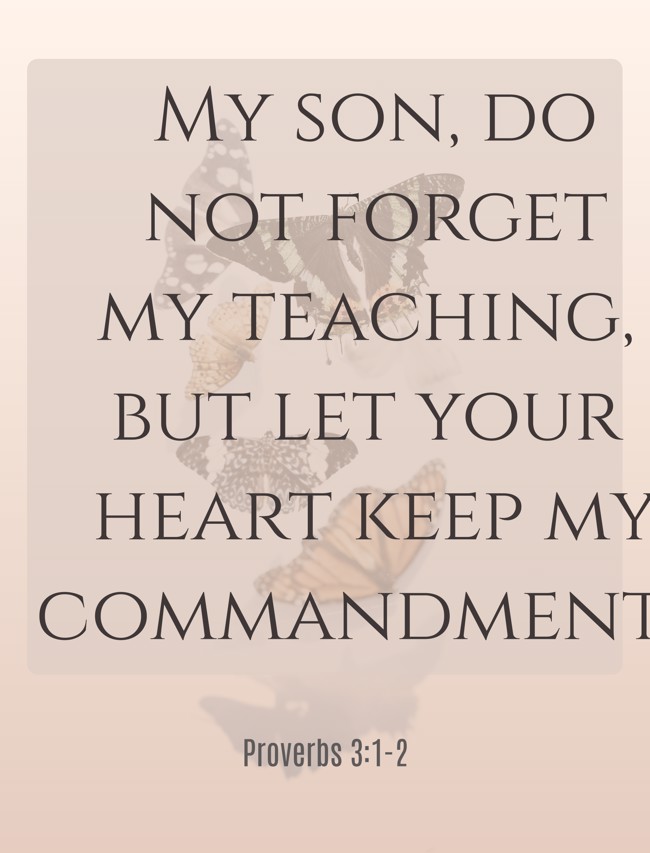  My son, do not forget my teaching, but let your heart keep my commandments.   - Proverbs 3:1-2 