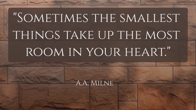  Sometimes the smallest things take up the most room in your heart.   - A.A. Milne 