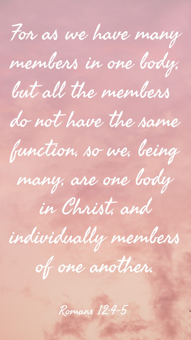 For as we have many members in one body, but all the members do not have the same function, so we, being many, are one body in Christ, and individually members of one another. - Romans 12:4-5