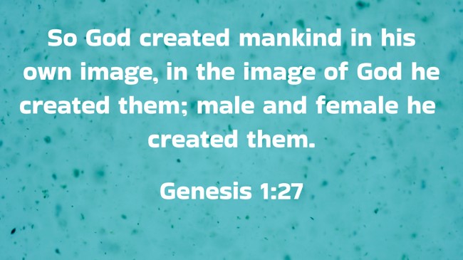 So God created mankind in his own image, in the image of God he created them; male and female he created them. - Genesis 1:27