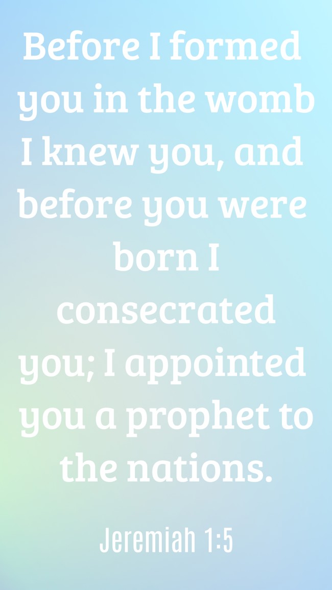 Before I formed you in the womb I knew you, and before you were born I consecrated you; I appointed you a prophet to the nations. - Jeremiah 1:5