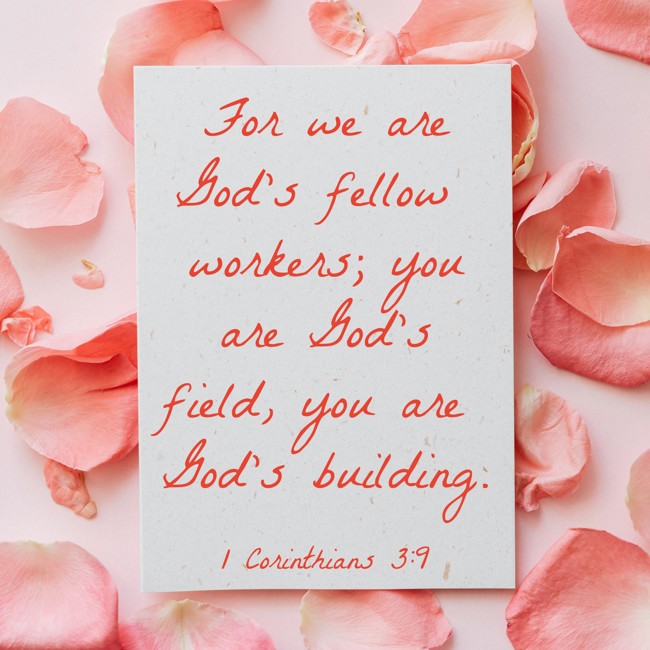 For we are God's fellow workers; you are God's field, you are God's building. - 1 Corinthians 3:9