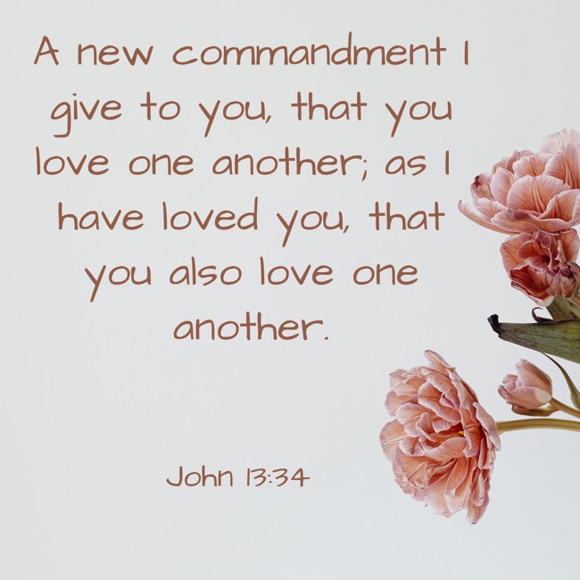 A new commandment I give to you, that you love one another; as I have loved you, that you also love one another. - John 13:34