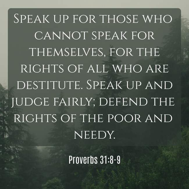 Speak up for those who cannot speak for themselves, for the rights of all who are destitute. Speak up and judge fairly; defend the rights of the poor and needy. - Proverbs 31:8-9