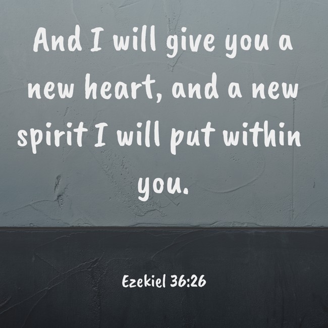 And I will give you a new heart, and a new spirit I will put within you. - Ezekiel 36:26