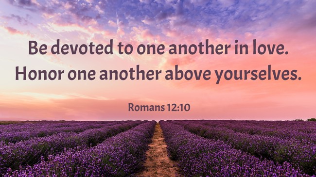 Be devoted to one another in love. Honor one another above yourselves. - Romans 12:10