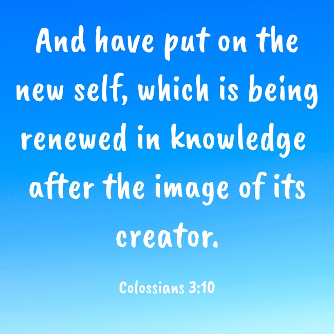 And have put on the new self, which is being renewed in knowledge after the image of its creator. - Colossians 3:10