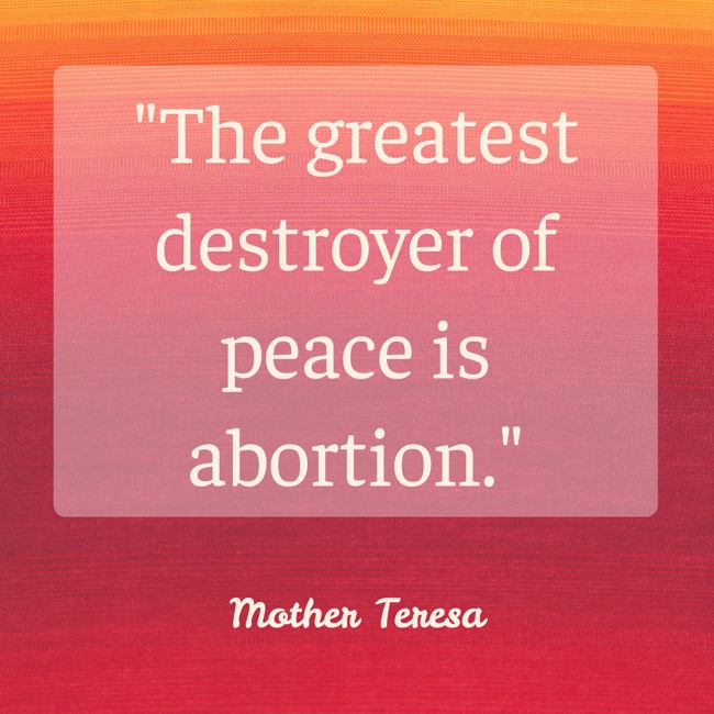 The greatest destroyer of peace is abortion. - Mother Teresa