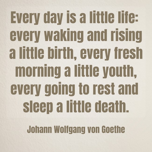 Every day is a little life: every waking and rising a little birth, every fresh morning a little youth, every going to rest and sleep a little death. - Johann Wolfgang von Goethe