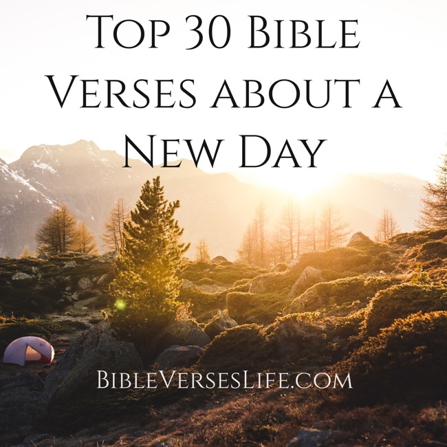 Top 30 Bible Verses about a New Day