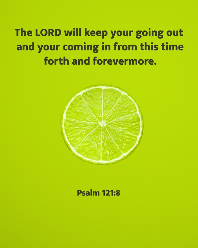 The LORD will keep your going out and your coming in from this time forth and forevermore. - Psalm 121:8
