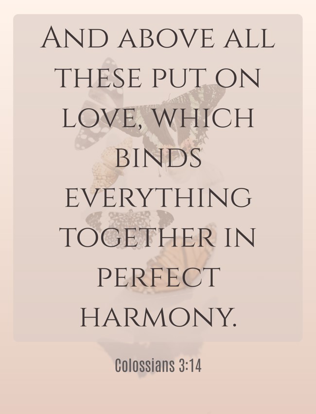 And above all these put on love, which binds everything together in perfect harmony. - Colossians 3:14