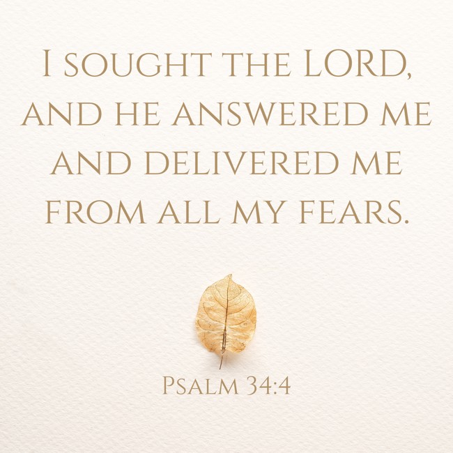 I sought the LORD, and he answered me and delivered me from all my fears. - Psalm 34:4
