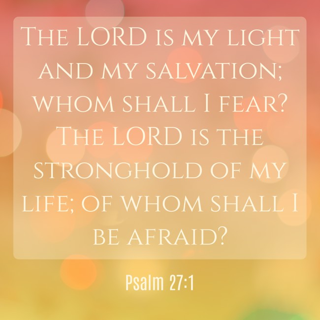 The LORD is my light and my salvation; whom shall I fear? The LORD is the stronghold of my life; of whom shall I be afraid? - Psalm 27:1