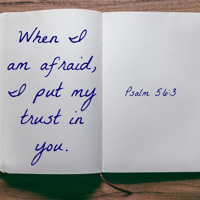 When I am afraid, I put my trust in you. - Psalm 56:3