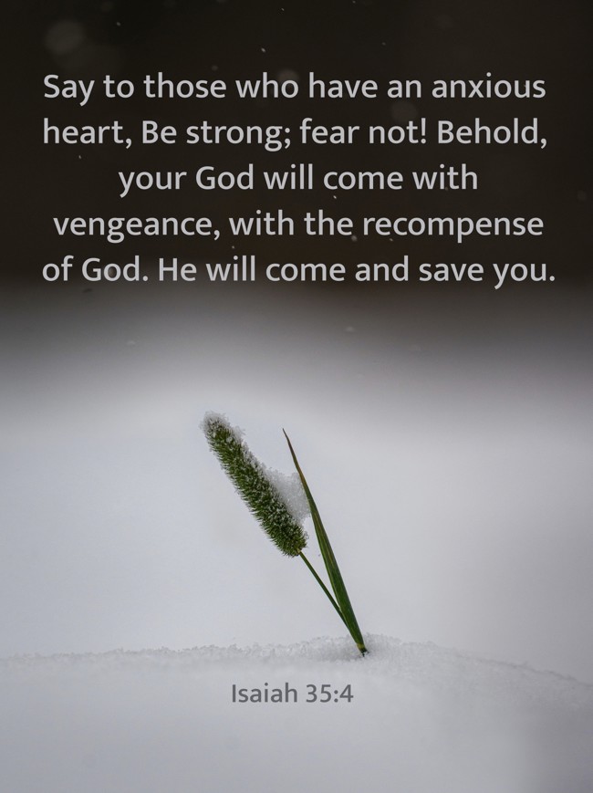 Say to those who have an anxious heart, Be strong; fear not! Behold, your God will come with vengeance, with the recompense of God. He will come and save you. - Isaiah 35:4