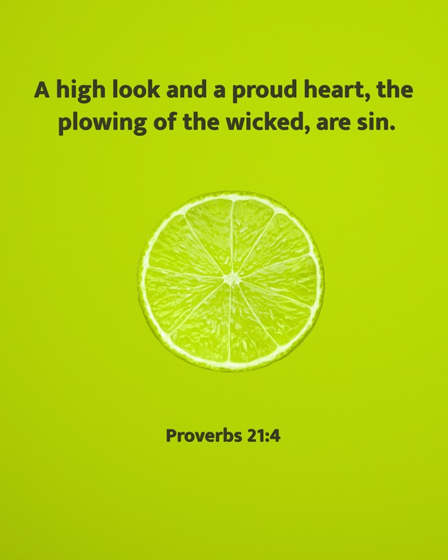 A high look and a proud heart, the plowing of the wicked, are sin. - Proverbs 21:4