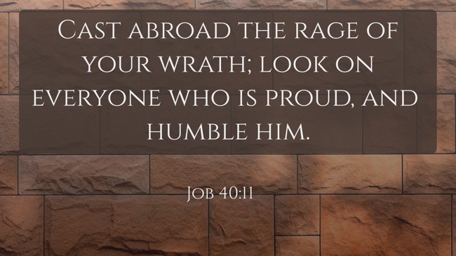 Cast abroad the rage of your wrath; look on everyone who is proud, and humble him. - Job 40:11