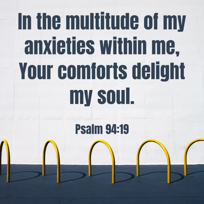  In the multitude of my anxieties within me, Your comforts delight my soul.   - Psalm 94:19 