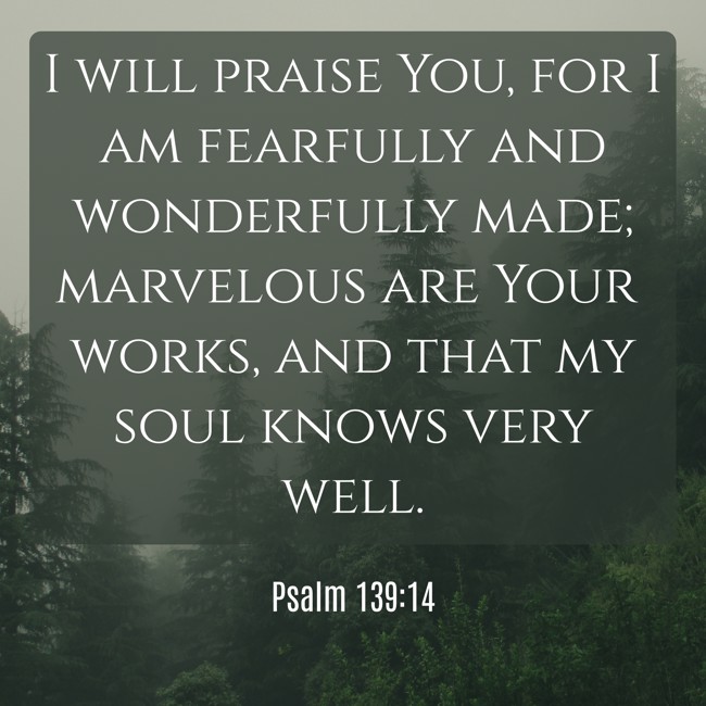 I will praise You, for I am fearfully and wonderfully made; marvelous are Your works, and that my soul knows very well.   - Psalm 139:14 