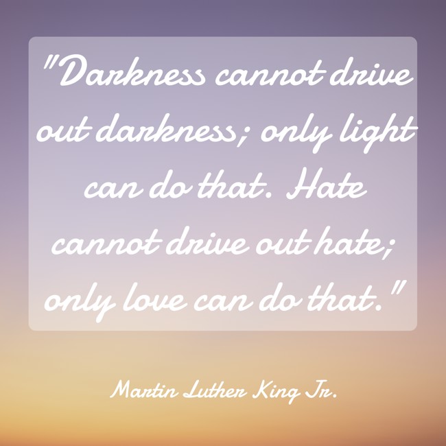 Darkness cannot drive out darkness; only light can do that. Hate cannot drive out hate; only love can do that. - Martin Luther King Jr.