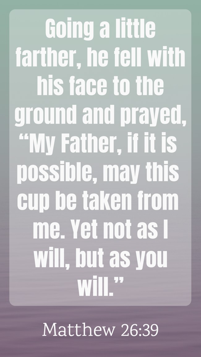 Going a little farther, he fell with his face to the ground and prayed, “My Father, if it is possible, may this cup be taken from me. Yet not as I will, but as you will.” - Matthew 26:39