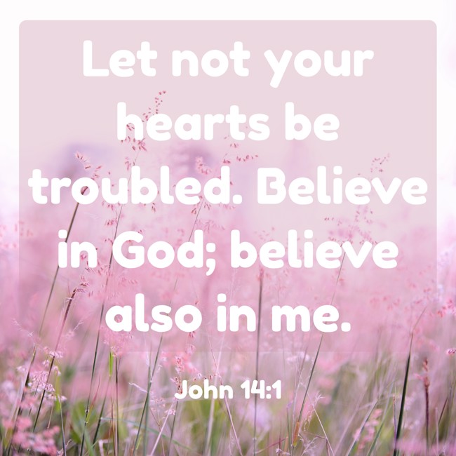 Let not your hearts be troubled. Believe in God; believe also in me. - John 14:1