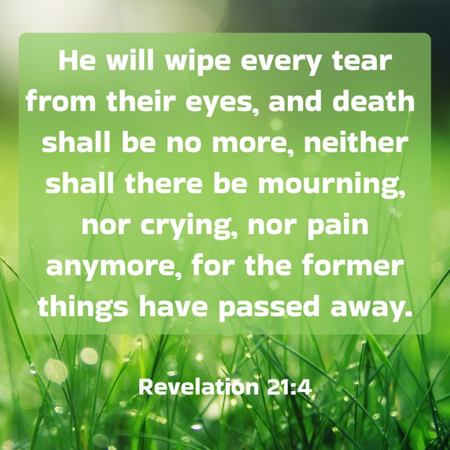 He will wipe every tear from their eyes, and death shall be no more, neither shall there be mourning, nor crying, nor pain anymore, for the former things have passed away. - Revelation 21:4