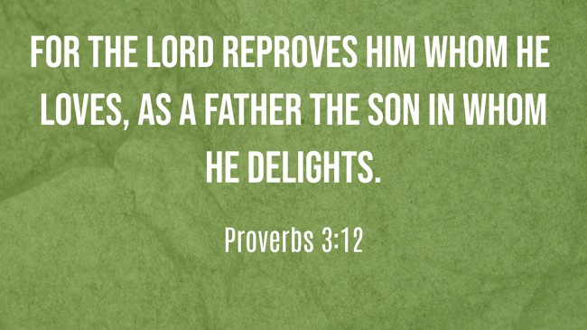 For the LORD reproves him whom he loves, as a father the son in whom he delights. - Proverbs 3:12