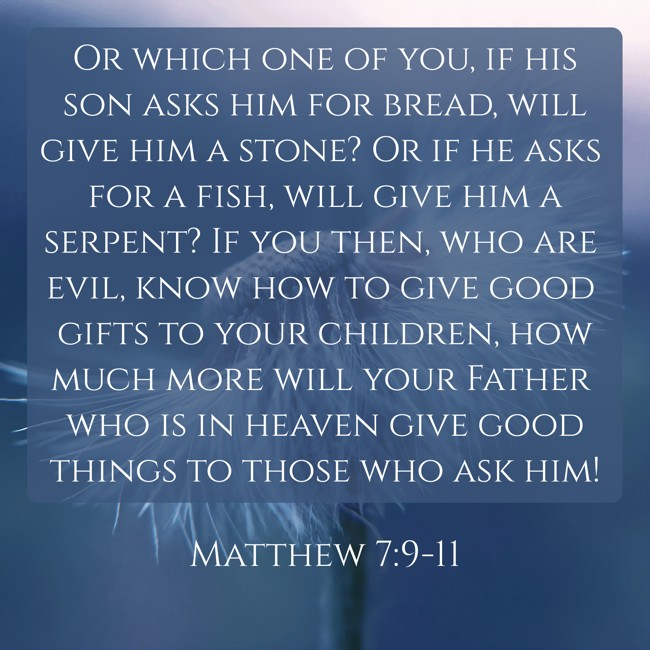Or which one of you, if his son asks him for bread, will give him a stone? Or if he asks for a fish, will give him a serpent? If you then, who are evil, know how to give good gifts to your children, how much more will your Father who is in heaven give good things to those who ask him! - Matthew 7:9-11