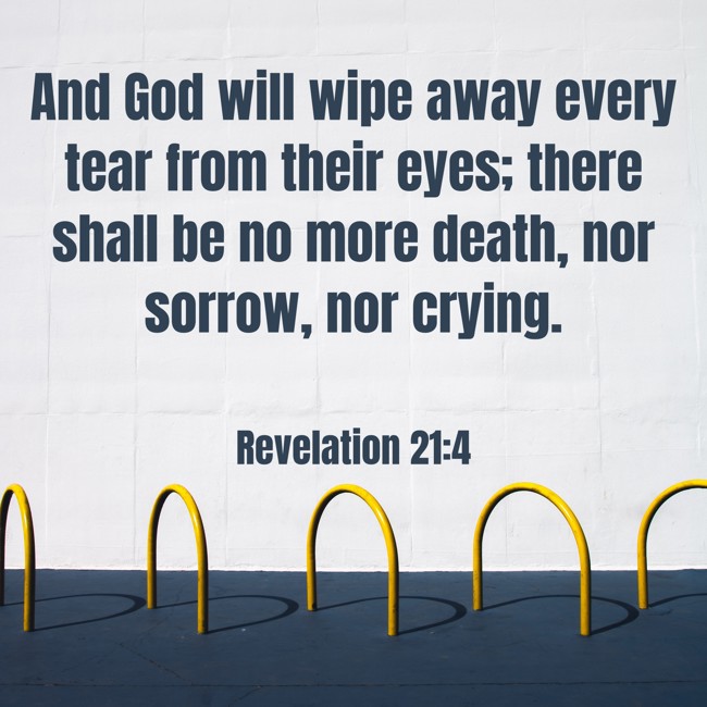 And God will wipe away every tear from their eyes; there shall be no more death, nor sorrow, nor crying. - Revelation 21:4