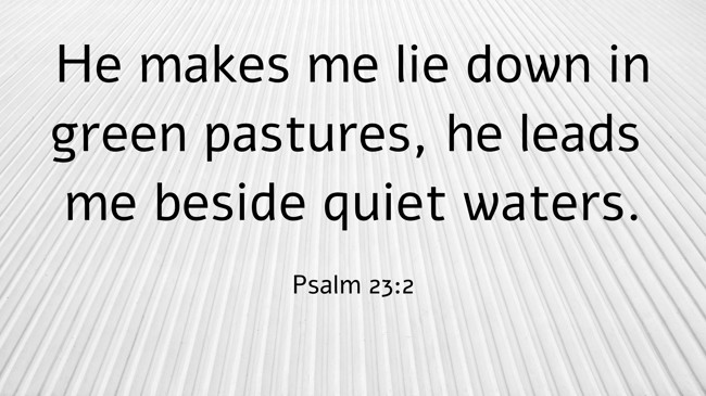 He makes me lie down in green pastures, he leads me beside quiet waters. - Psalm 23:2