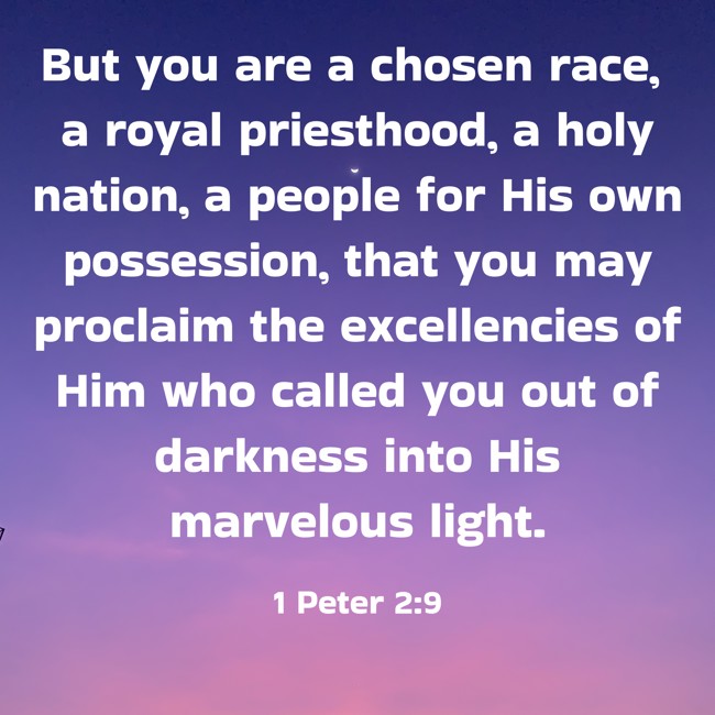 But you are a chosen race, a royal priesthood, a holy nation, a people for His own possession, that you may proclaim the excellencies of Him who called you out of darkness into His marvelous light. - 1 Peter 2:9