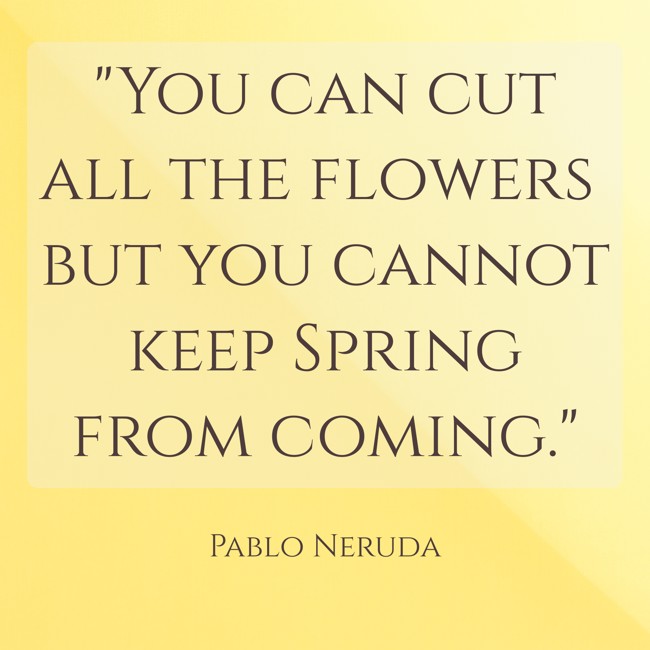 You can cut all the flowers but you cannot keep Spring from coming. - Pablo Neruda