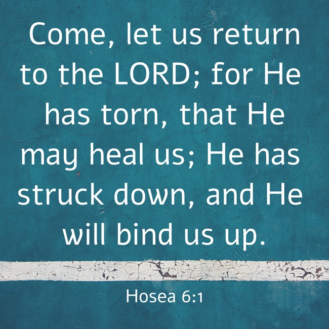 Come, let us return to the LORD; for He has torn, that He may heal us; He has struck down, and He will bind us up. - Hosea 6:1