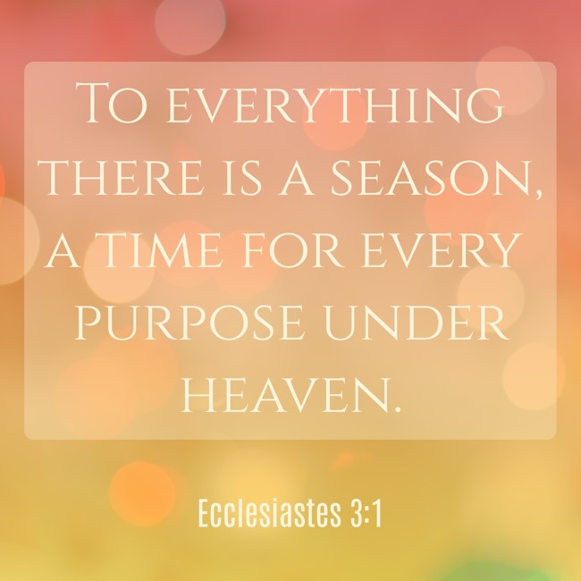 To everything there is a season, a time for every purpose under heaven. - Ecclesiastes 3:1