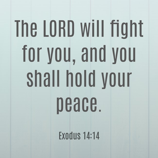 The LORD will fight for you, and you shall hold your peace. - Exodus 14:14