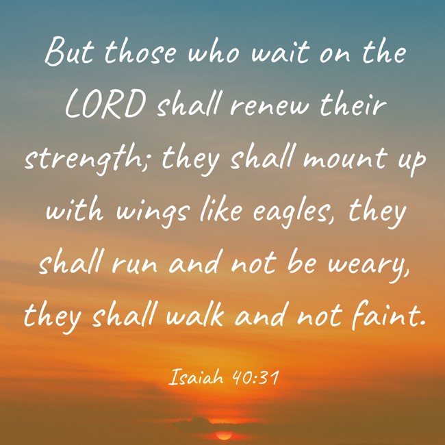 But those who wait on the LORD shall renew their strength; they shall mount up with wings like eagles, they shall run and not be weary, they shall walk and not faint. - Isaiah 40:31