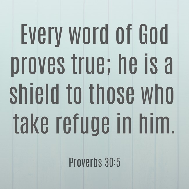 Every word of God proves true; he is a shield to those who take refuge in him. - Proverbs 30:5