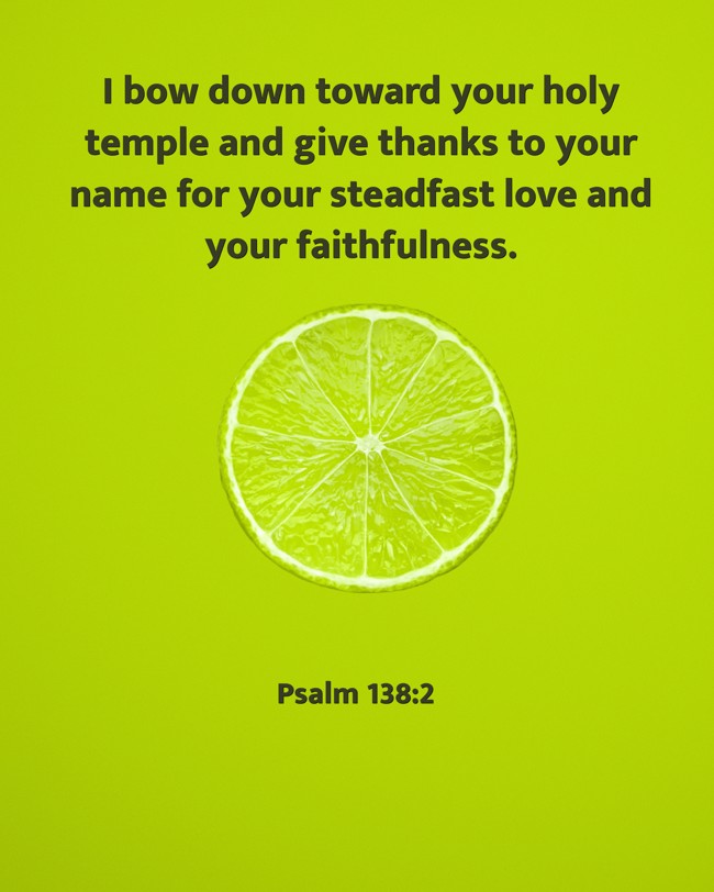 I bow down toward your holy temple and give thanks to your name for your steadfast love and your faithfulness. - Psalm 138:2