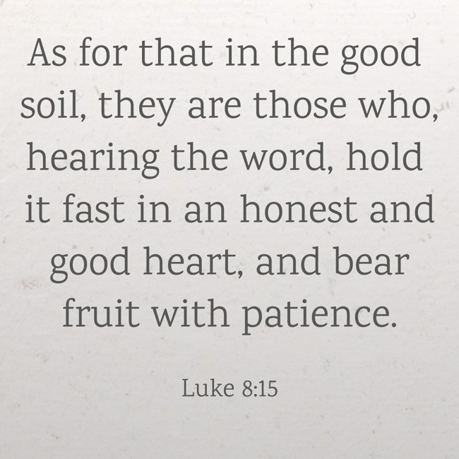 As for that in the good soil, they are those who, hearing the word, hold it fast in an honest and good heart, and bear fruit with patience. - Luke 8:15