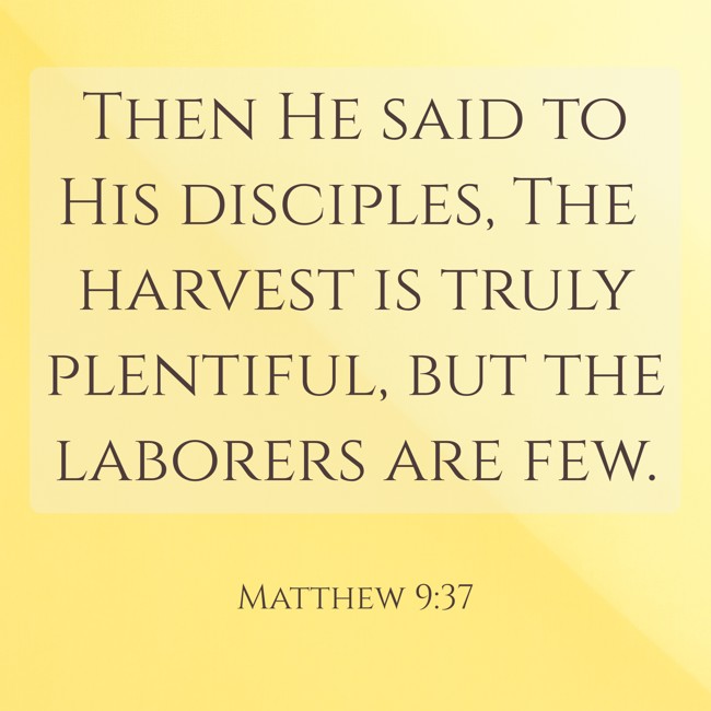 Then He said to His disciples, The harvest is truly plentiful, but the laborers are few. - Matthew 9:37