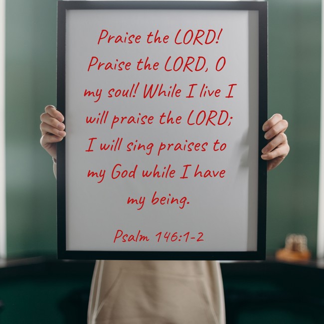 Praise the LORD! Praise the LORD, O my soul! While I live I will praise the LORD; I will sing praises to my God while I have my being. - Psalm 146:1-2