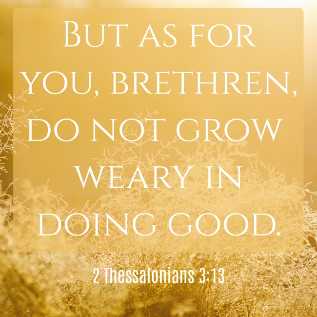 But as for you, brethren, do not grow weary in doing good. - 2 Thessalonians 3:13