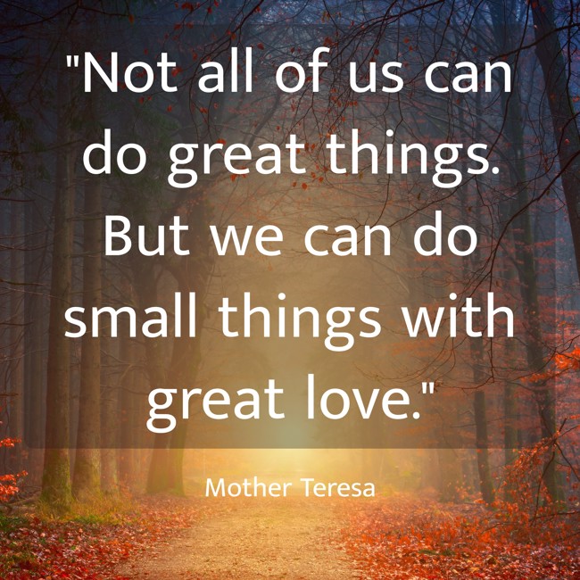 Not all of us can do great things. But we can do small things with great love. - Mother Teresa