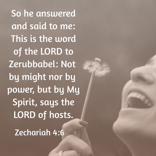 So he answered and said to me: This is the word of the LORD to Zerubbabel: Not by might nor by power, but by My Spirit, says the LORD of hosts. - Zechariah 4:6