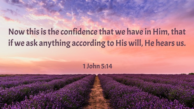 Now this is the confidence that we have in Him, that if we ask anything according to His will, He hears us. - 1 John 5:14