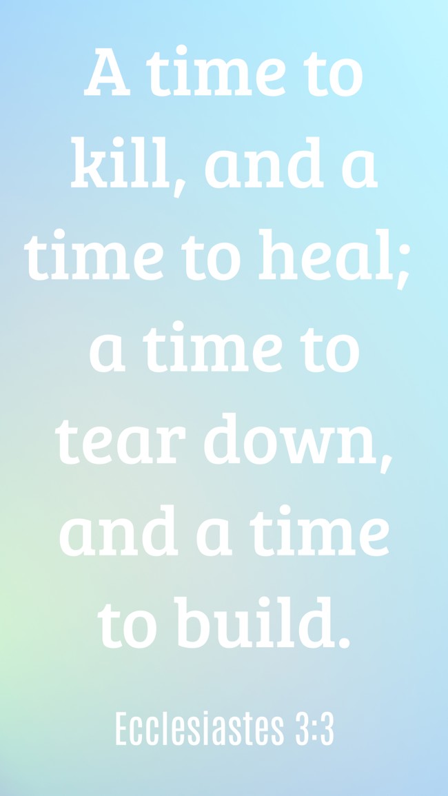  A time to kill, and a time to heal; a time to tear down, and a time to build.   - Ecclesiastes 3:3 