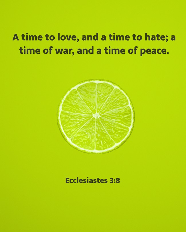  A time to love, and a time to hate; a time of war, and a time of peace.   - Ecclesiastes 3:8 